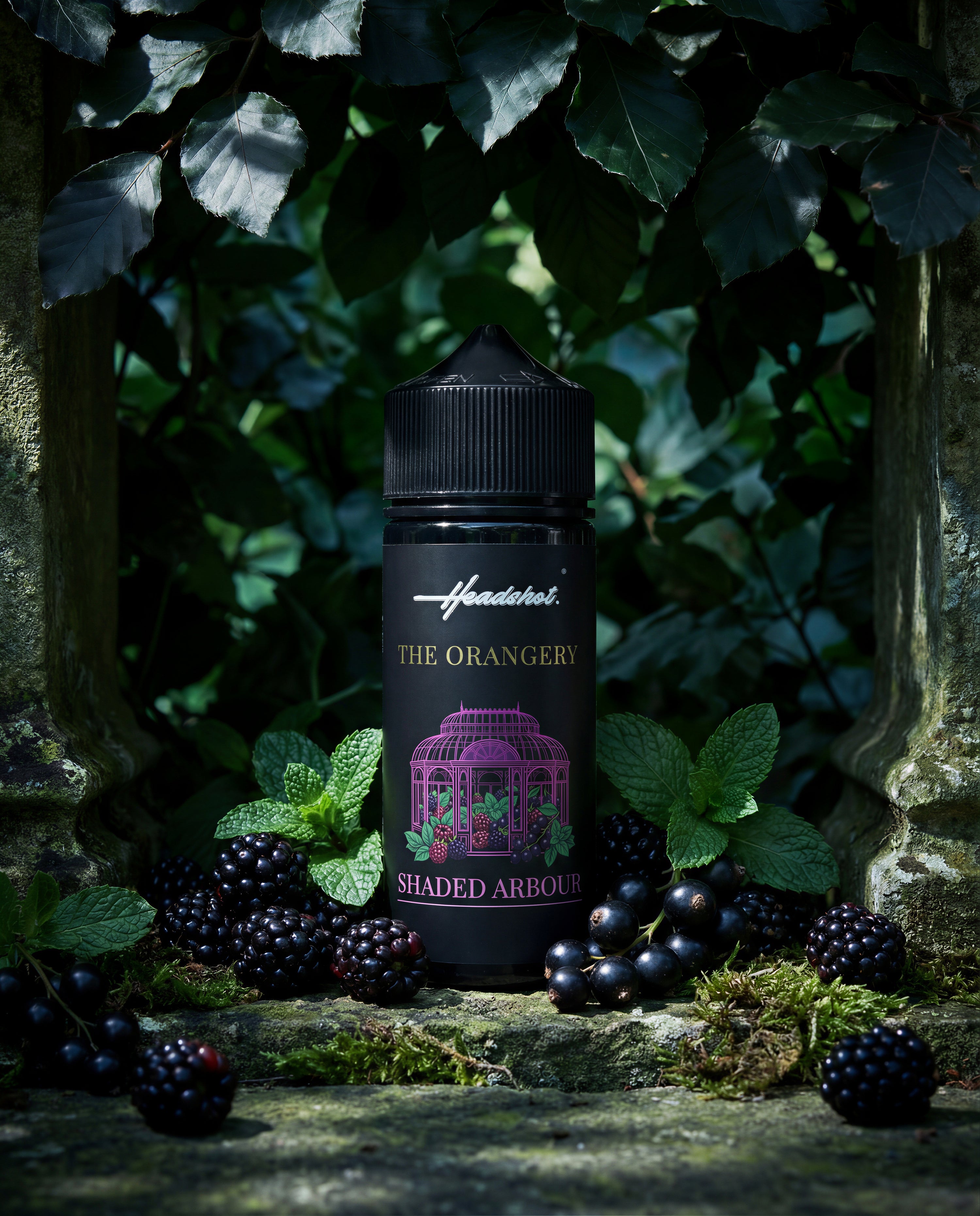 The Orangery - Bundle