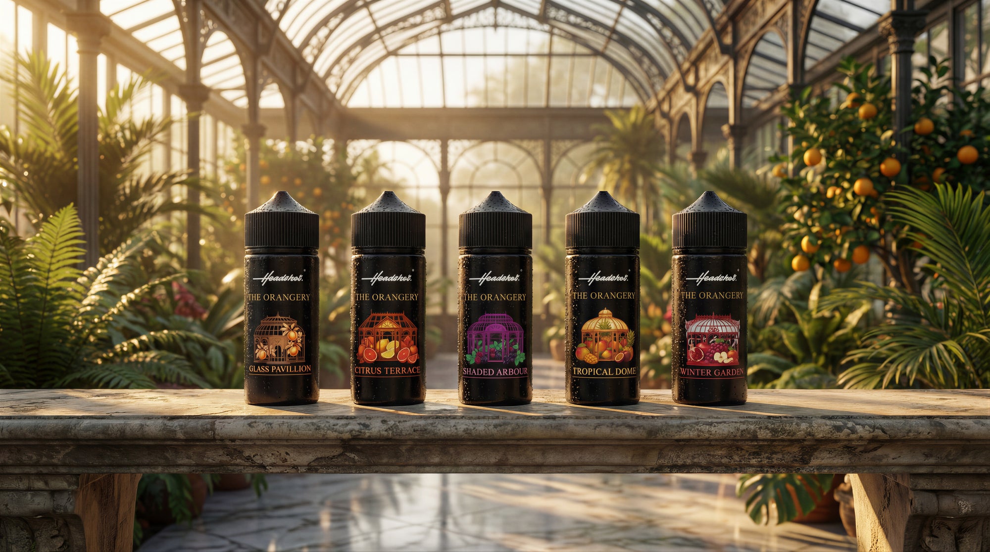 The Orangery - Bundle